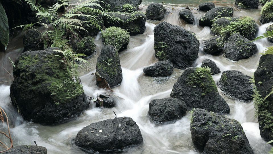 Water flowing quickly over dark rocks in a stream